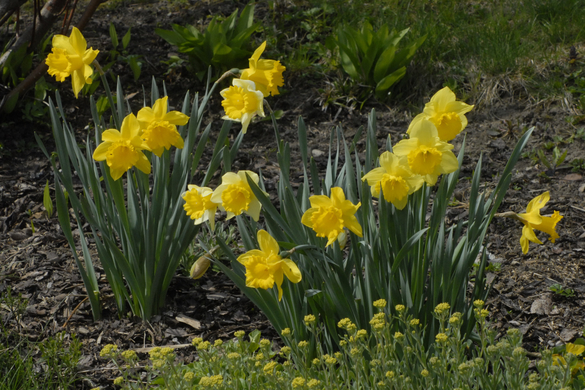 _DSC00050001_JPG-1272048843