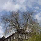_DSC00080004_JPG-1272049016