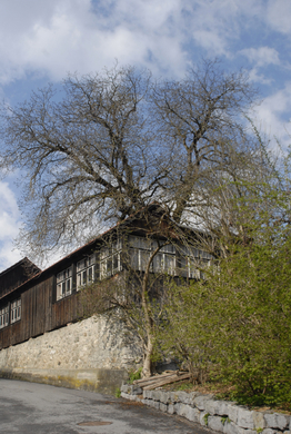 _DSC00080004_JPG-1272049016