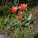 _DSC00220008_JPG-1272049061