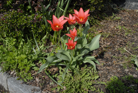 _DSC00220008_JPG-1272049061