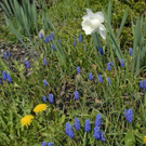 _DSC00270009_JPG-1272049089