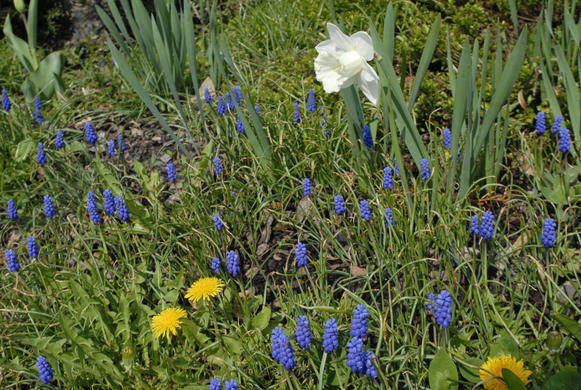 _DSC00270009_JPG-1272049089