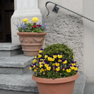_DSC00430001_JPG-1272049254