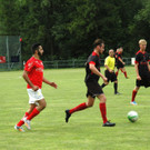 DSC_8805.jpg