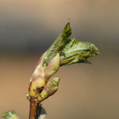 _DSC07450012_JPG-1272050026