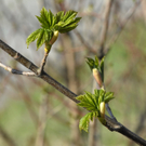 _DSC07470013_JPG-1272050049