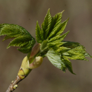 _DSC07500015_JPG-1272050123