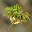 _DSC07560018_JPG-1272050170