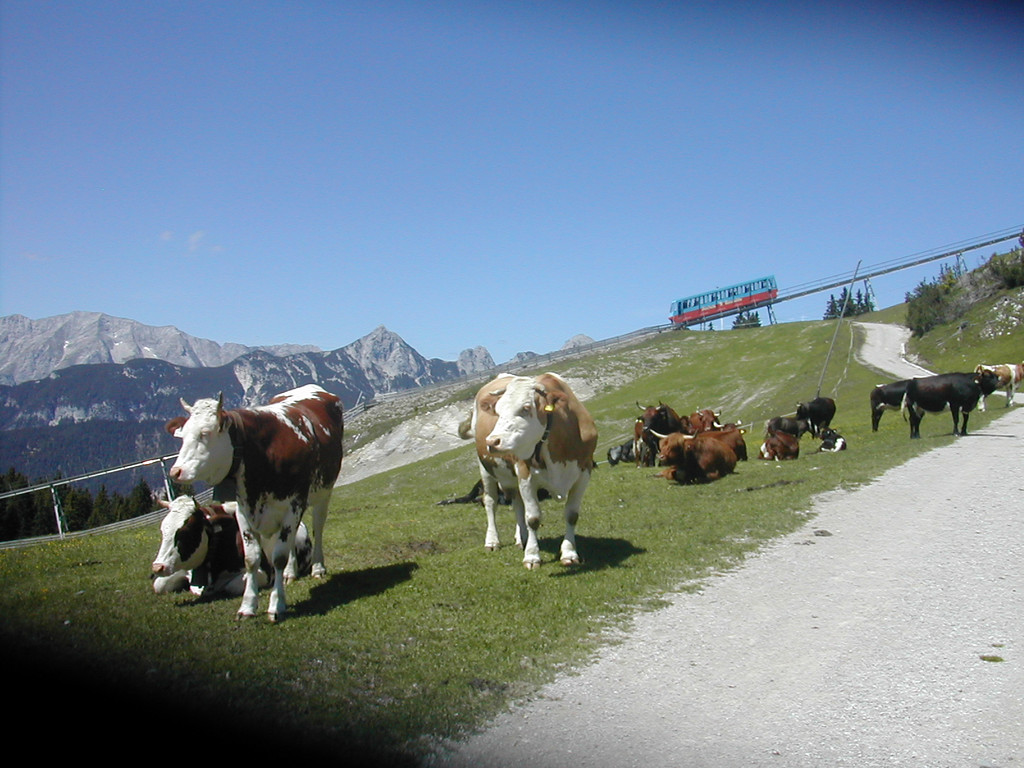 Seefeld 020.jpg