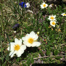 Bilder Seefeld 079.jpg