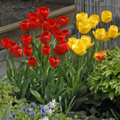 _DSC00100004_JPG-1272050636