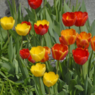 _DSC00140006_JPG-1272050691