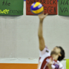 dc1-5u4x6v7ei6t19qyfij8_original.jpg