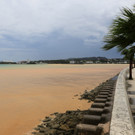 IBD0462-20140709.jpg