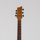 Frank Zappa_Guitar_HRC041315.jpg