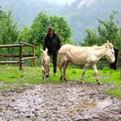 KOE_Barokesel Nachwuchs Wildpark 6.jpg
