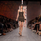 IBD0554-20140708.jpg