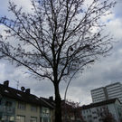 Bild 124_jpg-1272058147