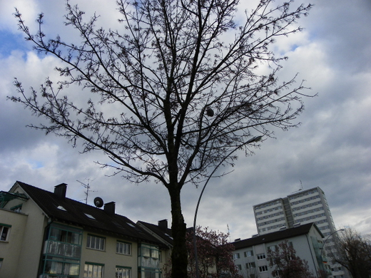 Bild 124_jpg-1272058147