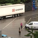 Entlaufenes Lama in Kennelbach eingefangen