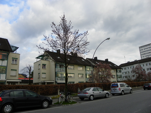 Bild 141_jpg-1272058138