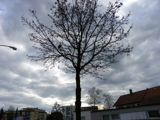 Bild 140_jpg-1272058130