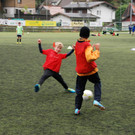 DSC_2517.JPG