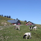 Naherholungsgebiete Fraxner Alpen
