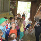 Bewegung pur im Kindergarten Klaus