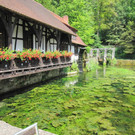 Jahrg__nger Ausflug 24_06_2014 Ulm 001 - Kopie.jpg