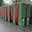 Umstellung auf Papiertonne