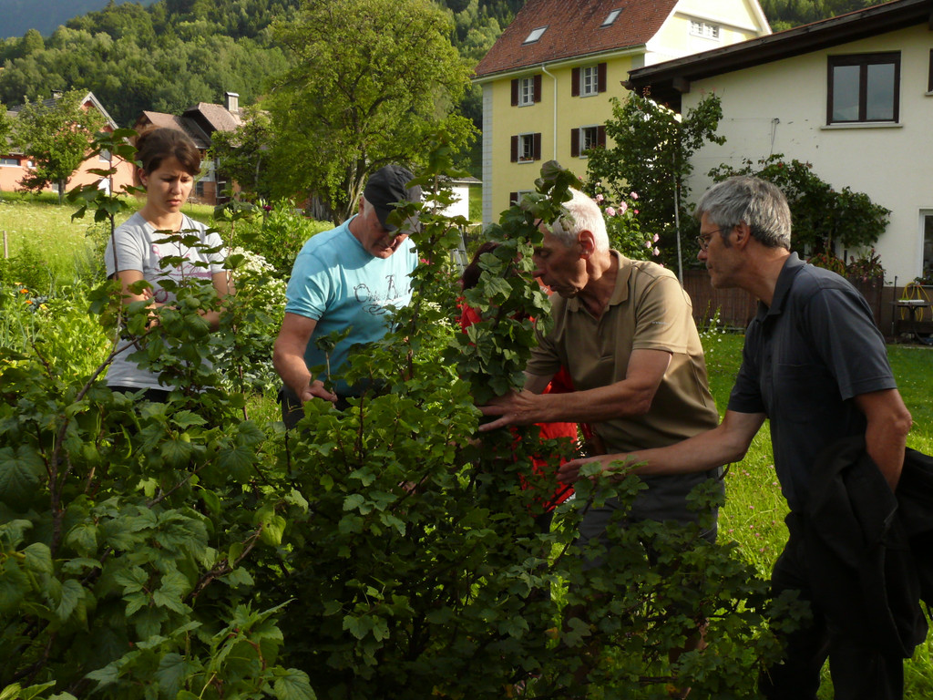 P1450591.JPG
