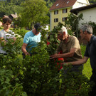 P1450591.JPG