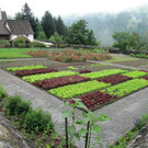 ein herrlicher Garten im Kloster.jpg