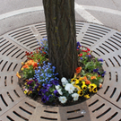 Lochau Fruehling 2010 _1__jpg-1272121700