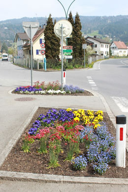 Lochau Fruehling 2010 _19__jpg-1272122006