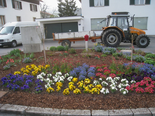 Lochau Fruehling 2010 _29__jpg-1272122171