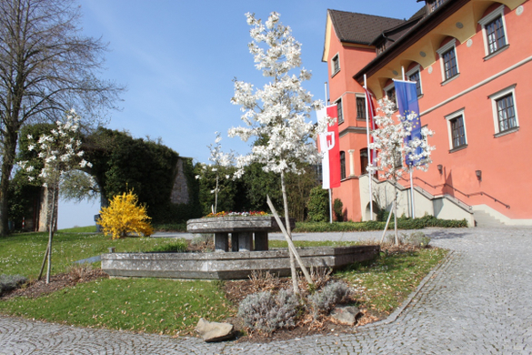 Lochau Fruehling 2010 _32__jpg-1272122222