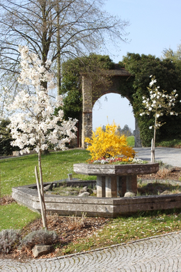 Lochau Fruehling 2010 _35__jpg-1272122275