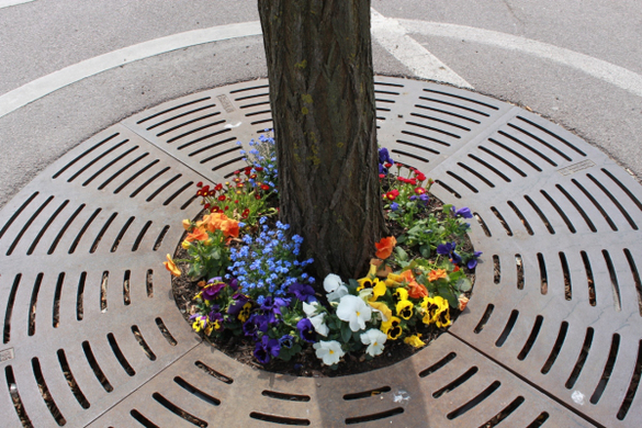 Lochau Fruehling 2010 _1__jpg-1272122596