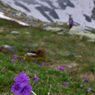 P1100603 _Medium_.JPG