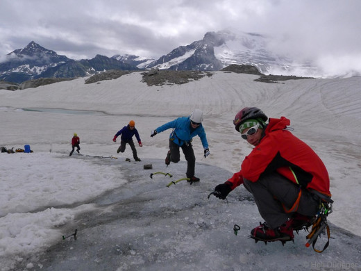 P1100623 _Medium_.JPG