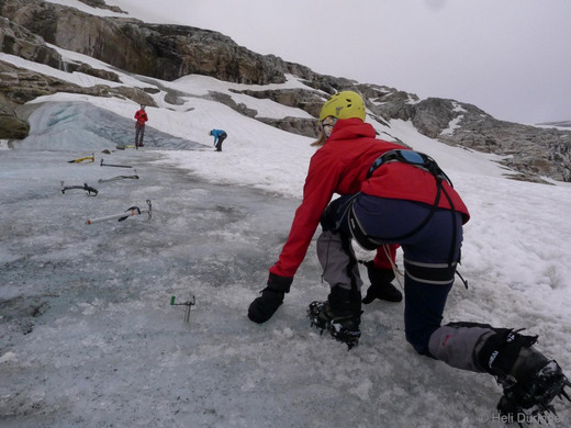 P1100625 _Medium_.JPG