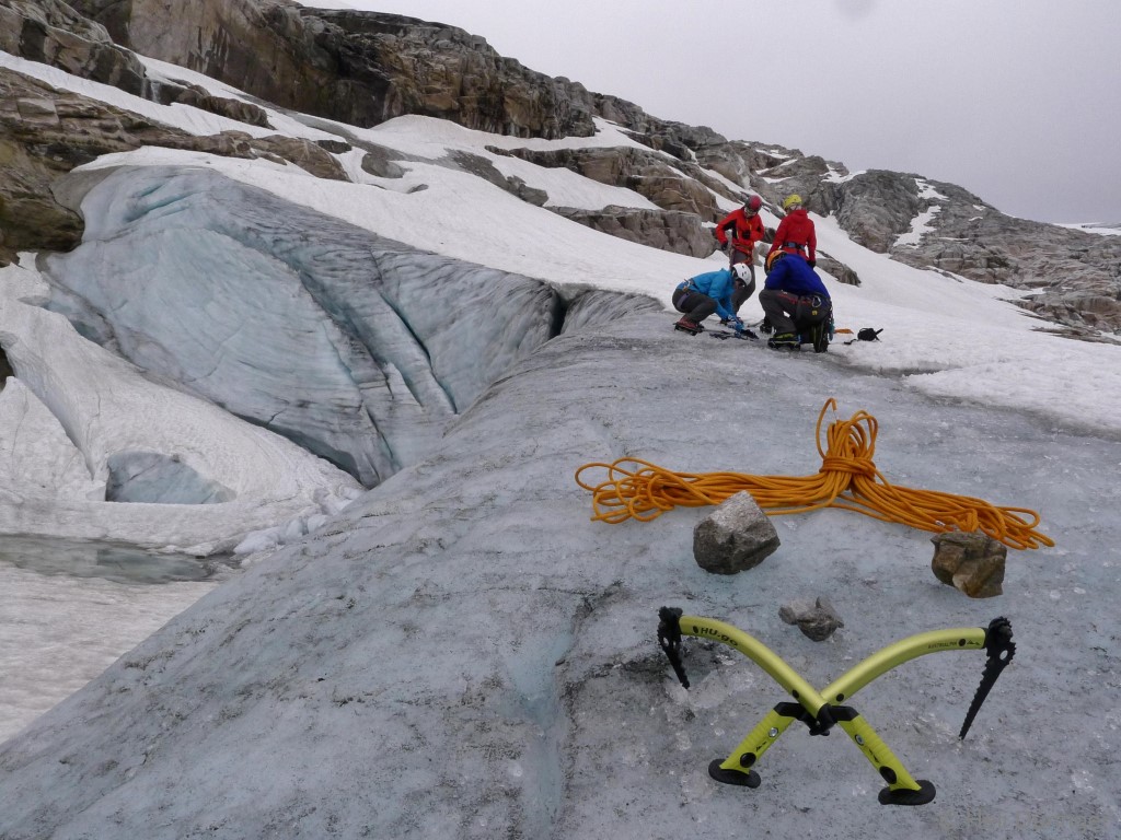 P1100629 _Medium_.JPG