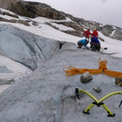 P1100629 _Medium_.JPG