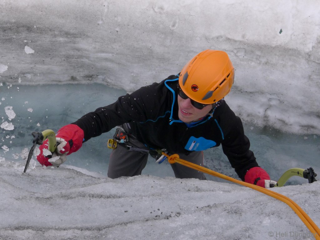 P1100641 _Medium_.JPG