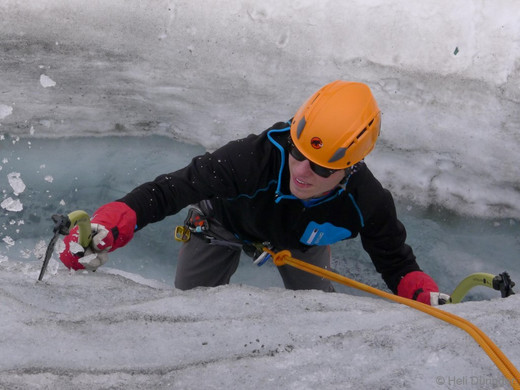 P1100641 _Medium_.JPG