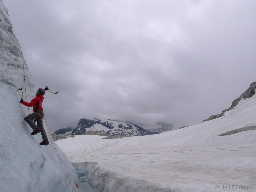 P1100651 _Medium_.JPG