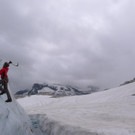 P1100651 _Medium_.JPG